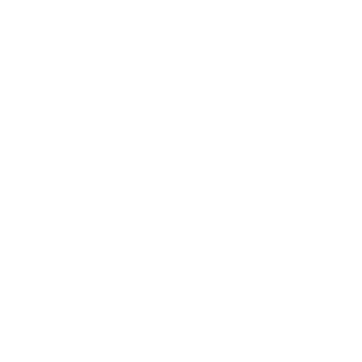 Secure & Reliable icon