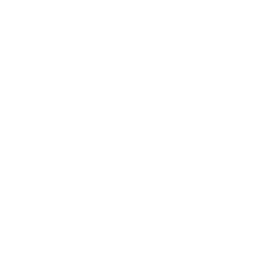 Point-to-Point (P2P) Connections icon