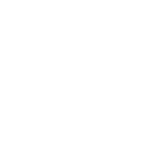 Security & Compliance-Focused icon